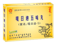 嘎日迪五味丸（板装） 