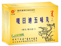 嘎日迪五味丸（瓶装） 