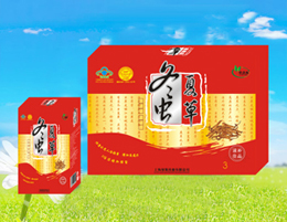 点击放大 冬虫夏草口服液