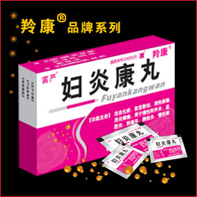妇炎康丸 妇炎康丸