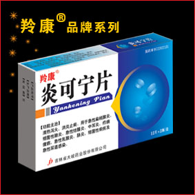 炎可宁片（24T） 炎可宁片