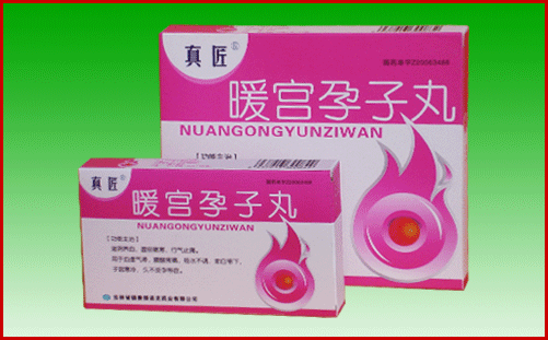 暖宫孕子丸 