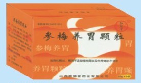 参梅养胃颗粒 