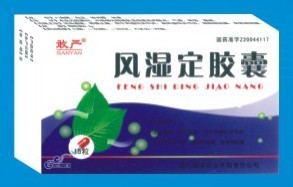 风湿定胶囊 