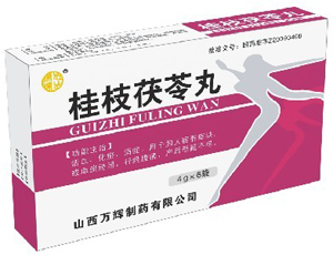 桂枝茯苓丸{浓缩水蜜丸} 