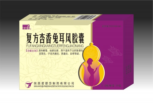 复方杏香兔耳风胶囊 