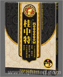 桂中特-远红外治疗贴 
