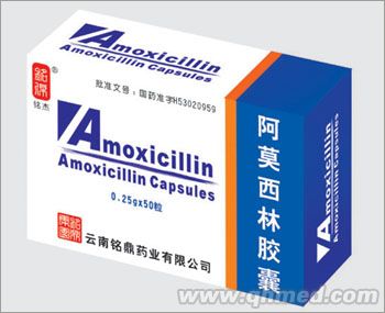 阿莫西林胶囊 