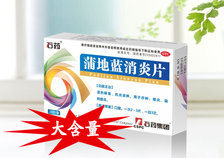 蒲地蓝消炎片
