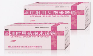 ע����ͷ����ŵ��