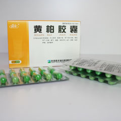黄柏胶囊