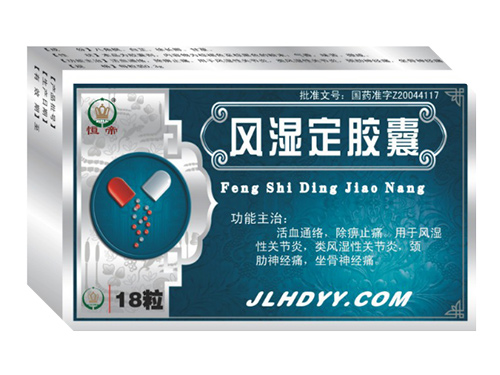 风湿定胶囊