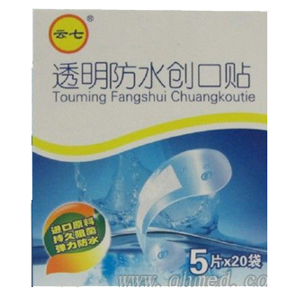 ������͸����ˮ������