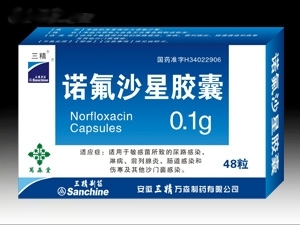 ŵ��ɳ�ǽ���