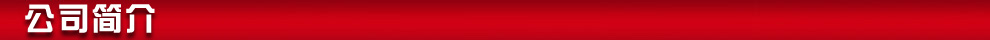 公司简介