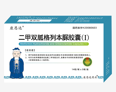 二甲双胍格列本脲胶囊(1)