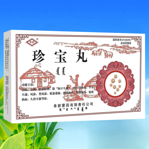 珍宝丸