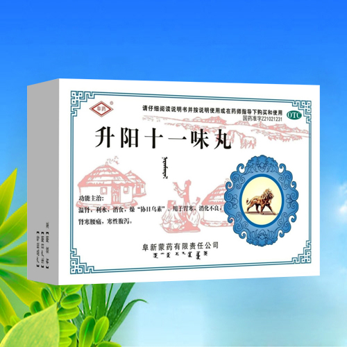 升阳十一味丸
