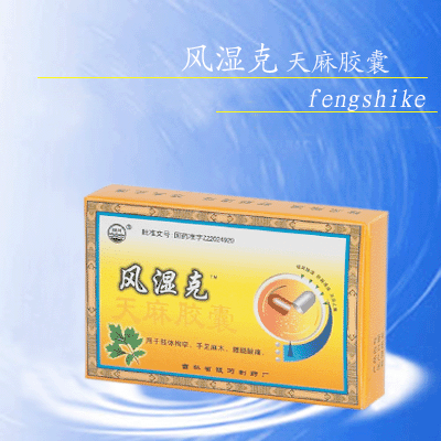 风湿克(天麻胶囊)