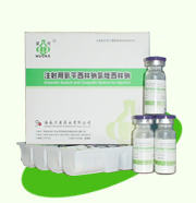 注射用氨苄西林钠氯唑西林钠