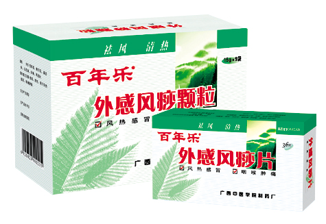 外感风痧片