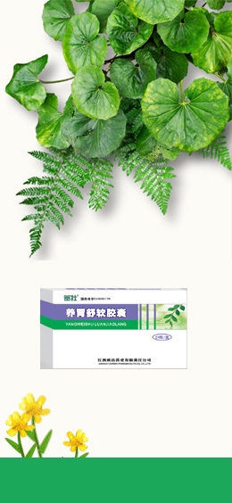 养胃舒软胶囊