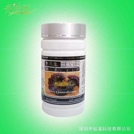 深圳市钻富提供-灵芝孢子